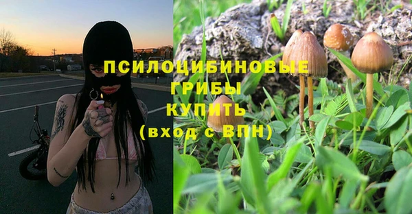 спайс Алзамай