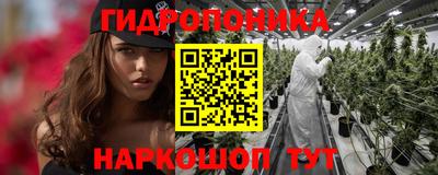 дурь Кингисепп