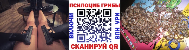 купить наркотики сайты  Новокузнецк  kraken онион  Галлюциногенные грибы прущие грибы 