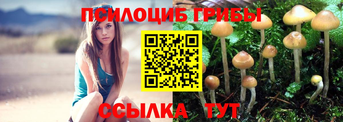 Новокузнецк  Бошки Шишки  КОКАИН  Гашиш  Alpha-PVP СК   Вход с VPN  Меф МЯУ МЯУ кристаллы 