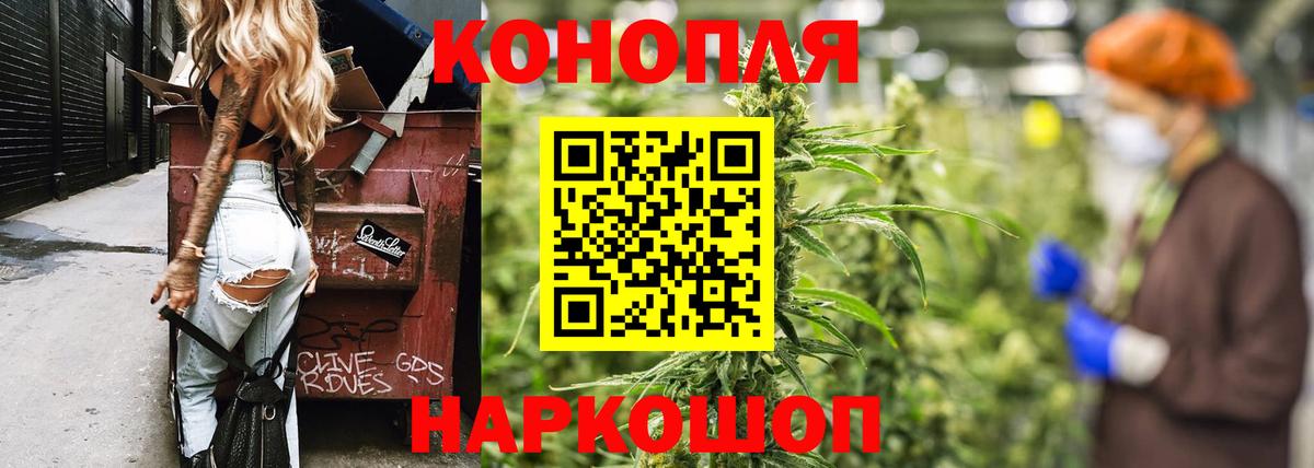 Канабис гибрид  Бошки Шишки тримм  Шишки марихуана план  Новокузнецк  Вход с VPN  МАРИХУАНА конопля 