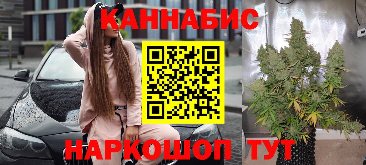 Канабис планчик Новокузнецк